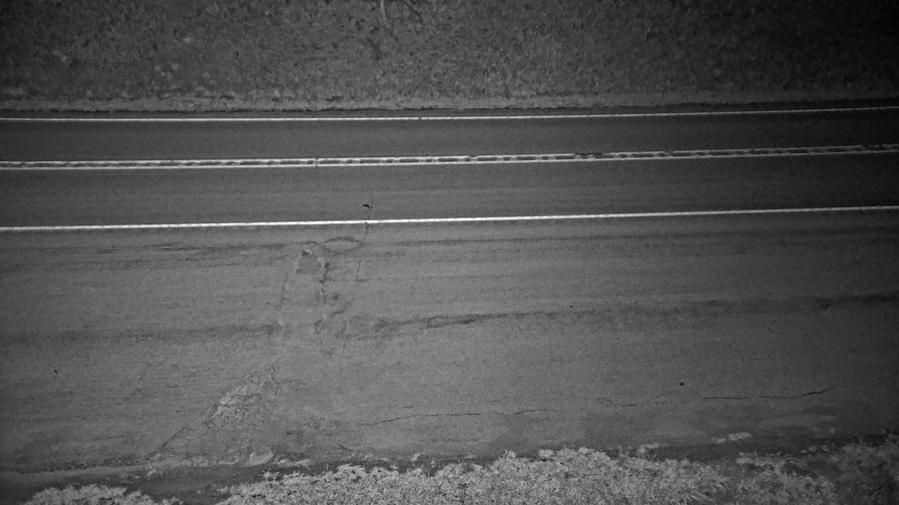 Roadway Elev 2201 - 04/25/2026 02:45 AM