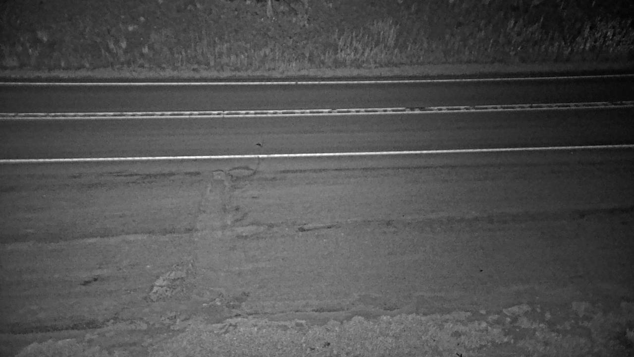 Yaak Hill - Roadway Elev 2201