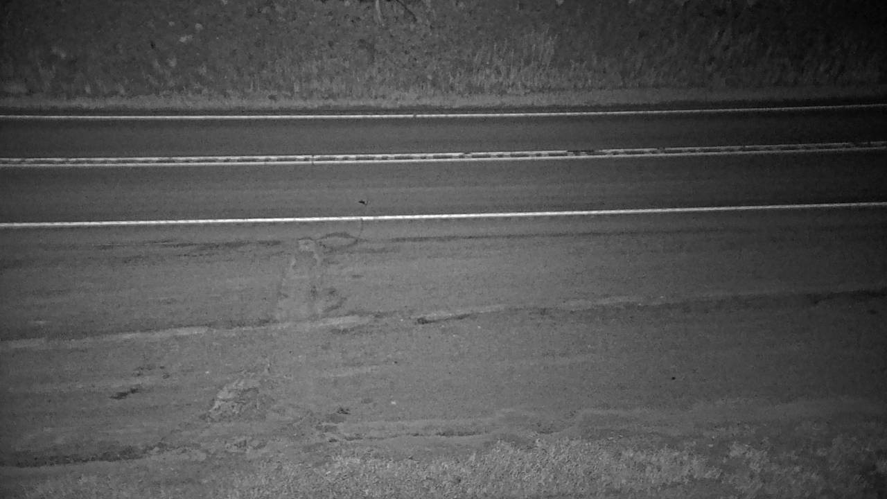 Roadway Elev 2201 - 06/09/2026 04:30 AM