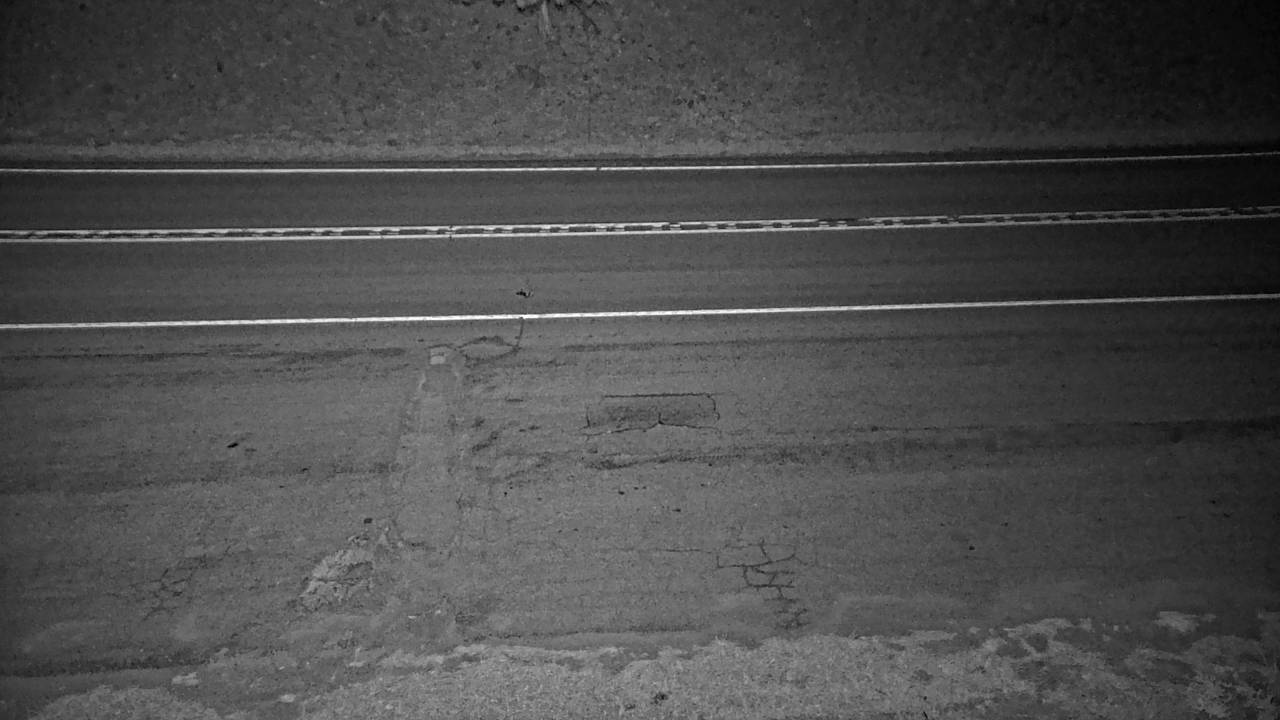 Yaak Hill - Roadway Elev 2201