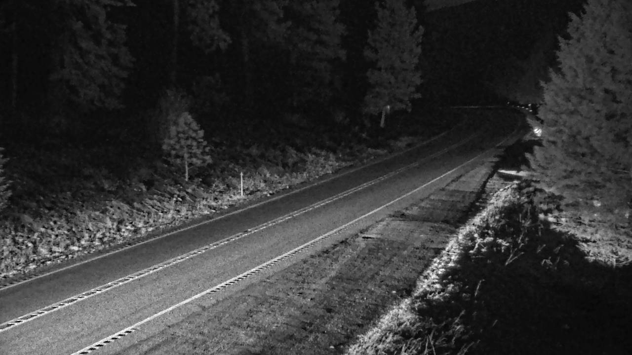 Yaak Hill - North Elev 2201