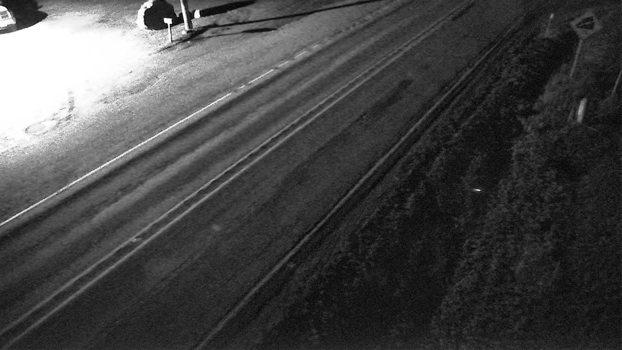 Roadway Elev 3050 - 03/19/2026 06:45 AM