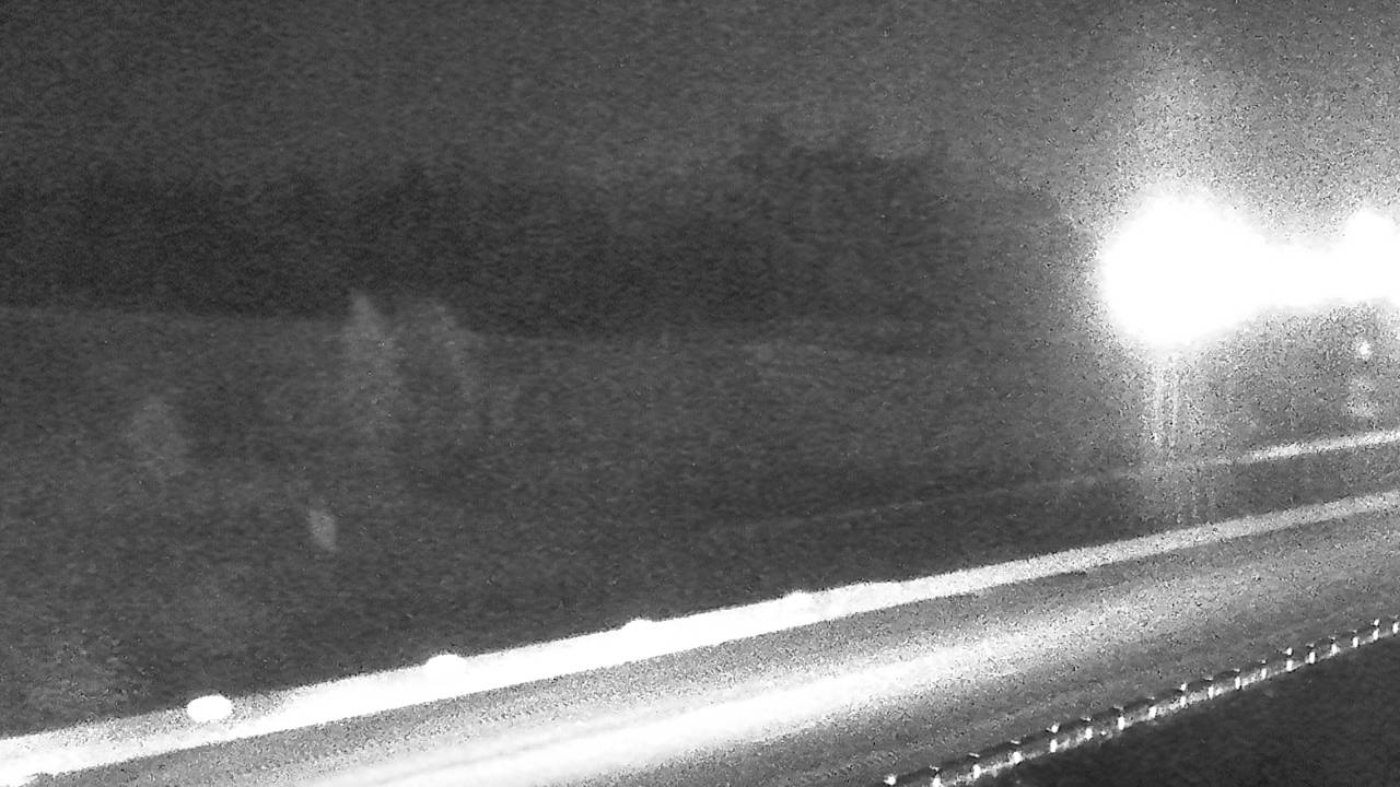 South Elev 3194 - 01/11/2026 08:15 PM