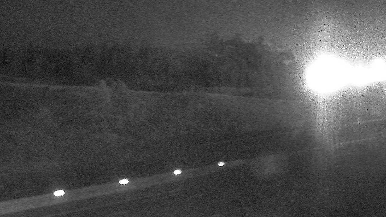 South Elev 3194 - 03/09/2026 12:15 AM