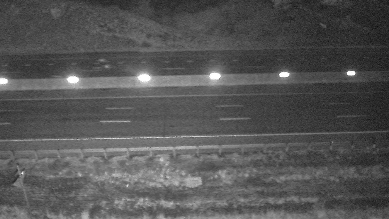 Roadway Elev 3194 - 06/01/2026 02:15 AM