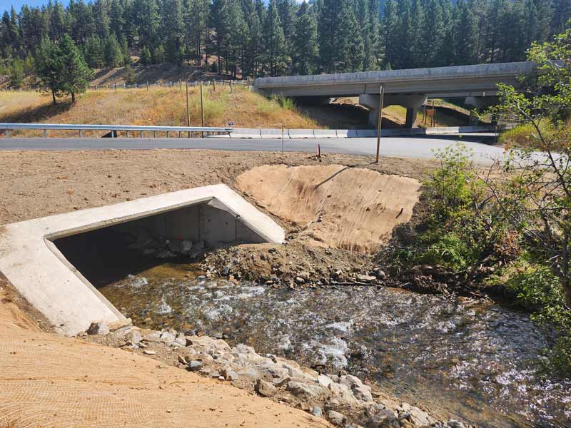 New Box Culvert on Hwy 282 Over Prickly Pear Creek