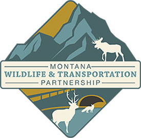 Montana Wildlife and Transportation Partnership logo