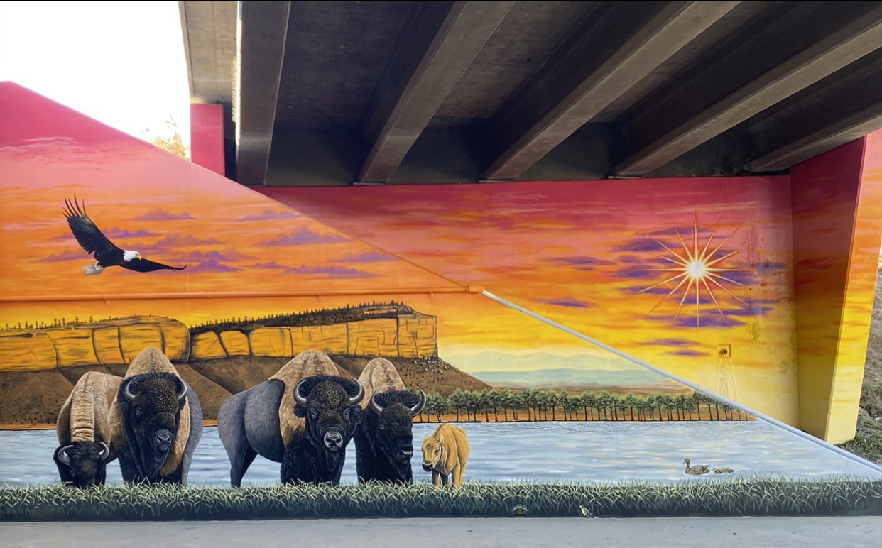 Bison mural painted by Elyssa Leininger (Photo courtesy of Elyssa Leininger)