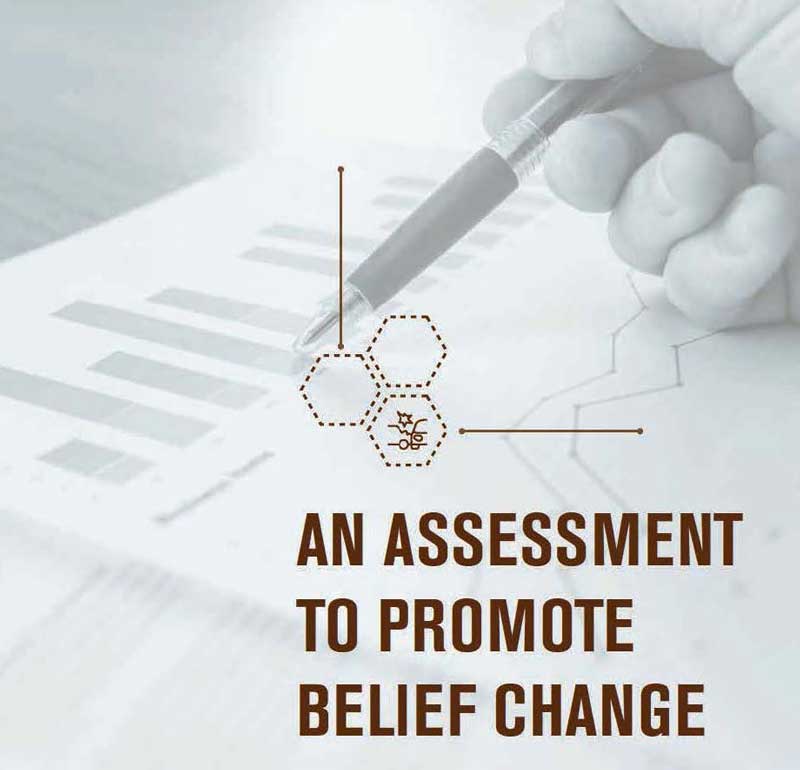Assessment to Promote Belief Change Tool report cover image.
