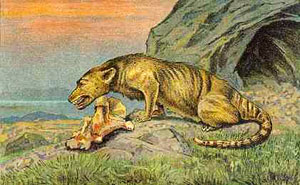 Paleocene mammals
