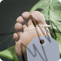 image of a toe tag on a deceased body